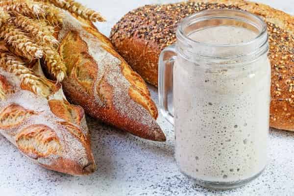 قیمت خمیر مایه ترش با کیفیت ارزان + خرید عمده